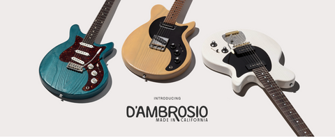 Ze komen naar Dijkmans: De Eastman D'Ambrosio gitaren!