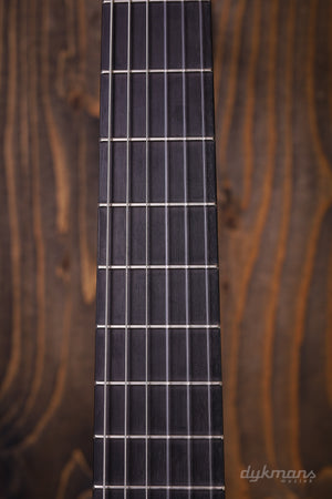 Bautista Iranzo 25 Flamenco