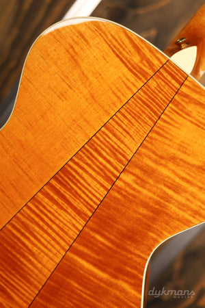 Taylor GC6