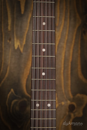 Squier Paranormal Troy Van Leeuwen Telecaster XII