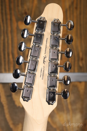 Squier Paranormal Troy Van Leeuwen Telecaster XII