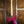 Ibanez RG565RPN