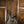 PRS Custom 24 Limited Edition Poplar Burl Charcoal Burst