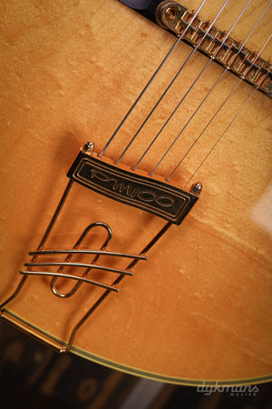 Ibanez PM100 PRE-OWNED!