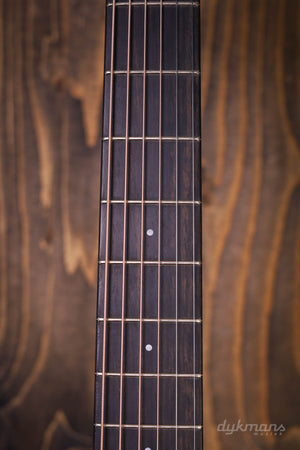 Eastman E1 OM Special