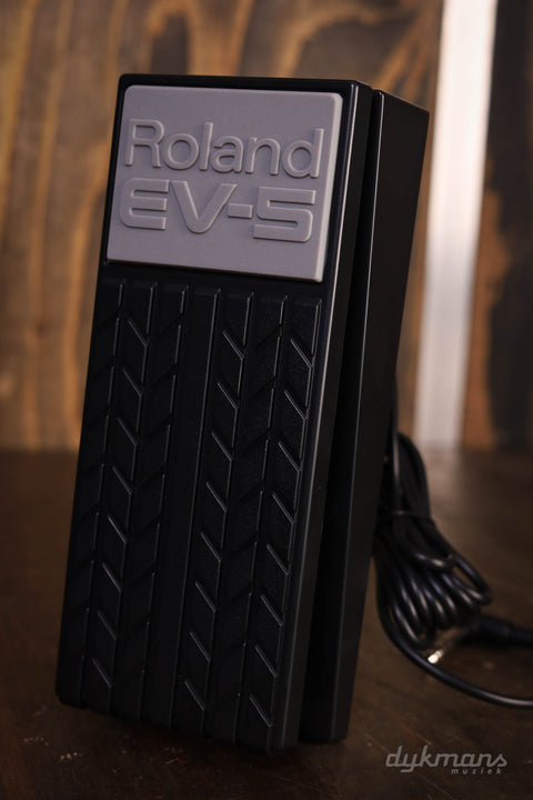 Roland EV-5