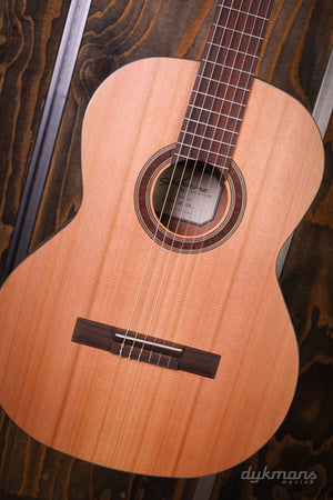 Kremona Camellia 4/4