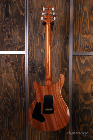 PRS 40th Anniversary Custom Semi Hollow Faded Whale Blue 