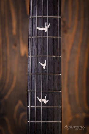 PRS Silver Sky Dead Spec