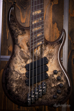 Dingwall Custom Shop Z3X-5 Buckeye Burl Natural to Black Burst