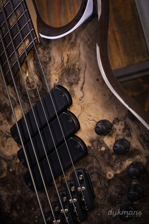 Dingwall Custom Shop Z3X-5 Buckeye Burl Natural to Black Burst