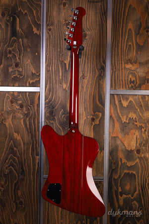 Epiphone Firebird Wine Red