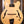 Ibanez PM200 Pat Metheny