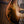 Sandberg VT Masterpiece Aged Goldburst