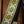 Holy Cow Real Vintage 60's Green Daisy