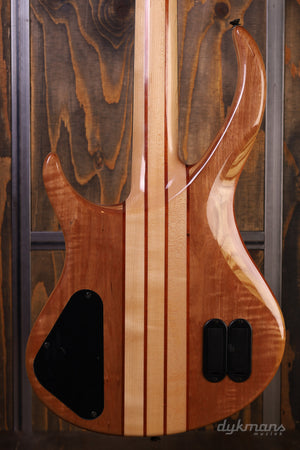 Harley Benton BZ4000 Deluxe