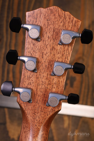 Taylor Gold Label 814e-SB