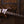 PRS Paul's Guitar Mango Limited Edition Tiger Eye