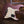 Fender American Professional II Stratocaster Burgundy Mist Limited