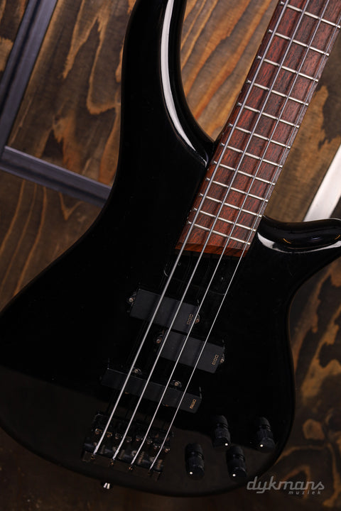 Bass Collection SB-310 PRE-OWNED