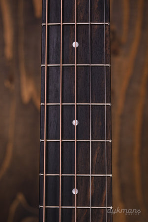 Taylor JCSM-5 Jacob Collier Signature