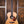 Furch Vintage 2 OM-SR a
