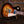 Gibson Les Paul Standard '50s Tobacco Burst