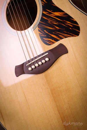 Taylor Gold Label 517e