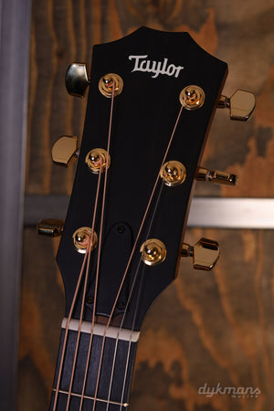 Taylor 214ce-K DLX Special Edition Honeyburst