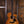 Taylor 214ce Special Edition Honeyburst