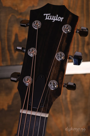 Taylor 214ce Special Edition Honeyburst