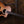 Taylor 214ce Special Edition Honeyburst