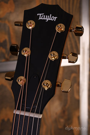 Taylor 217e Plus Special Edition Honeyburst