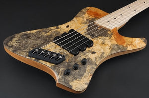 Dingwall Custom Shop D-Roc Custom 5 Buckeye Burl PRE-ORDER