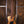 Dingwall D-Rock Matte Gold Limited 5-String