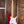 Fender Standard Stratocaster Maple Candy Apple Red