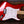 Fender Standard Stratocaster Maple Candy Apple Red