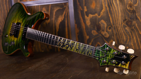 PRS Private Stock #10485 CU 24-08 Rainforest Glow w/ Birds of a Feather Inlay