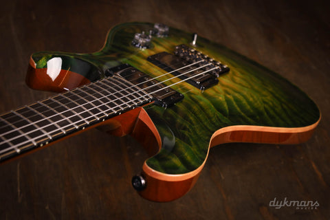 PRS Private Stock #10485 CU 24-08 Rainforest Glow w/ Birds of a Feather Inlay
