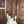Fender Player II Stratocaster Birch Green