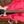 Epiphone 1960 Les Paul Special Double Cut TV White