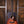 Maton Troubadour Traditional