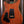 PRS Custom 24-08 Wood Library Sage