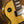 Gibson Les Paul Standard 50s Mahogany Top TV Yellow