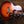 Epiphone Pre-War SJ-200 Rosewood Reissue