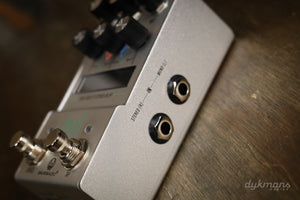 Walrus Audio MAKO D1 MKII Delay