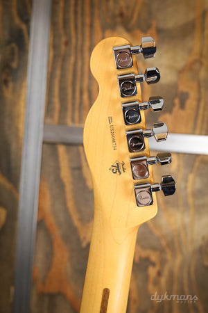 Fender Professional Telecaster Naturel