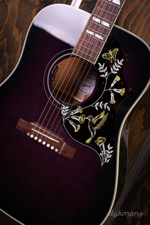 Gibson Hummingbird Standard Purple Burst