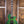 ESP USA Eclipse Lime Burst Marble
