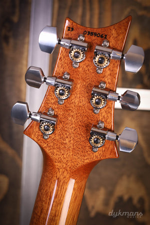 PRS Custom 24 Yellow Tiger